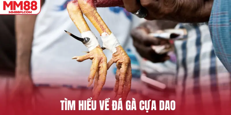 [IMG]